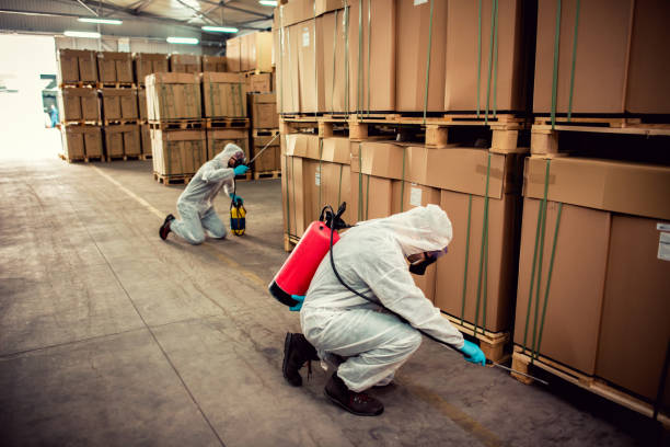 Pest Prevention Services in De Soto, IA