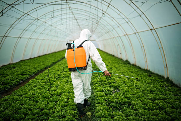 Best Pest Control Treatment  in De Soto, IA