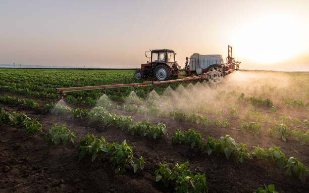 Best Cockroach Control Services  in De Soto, IA
