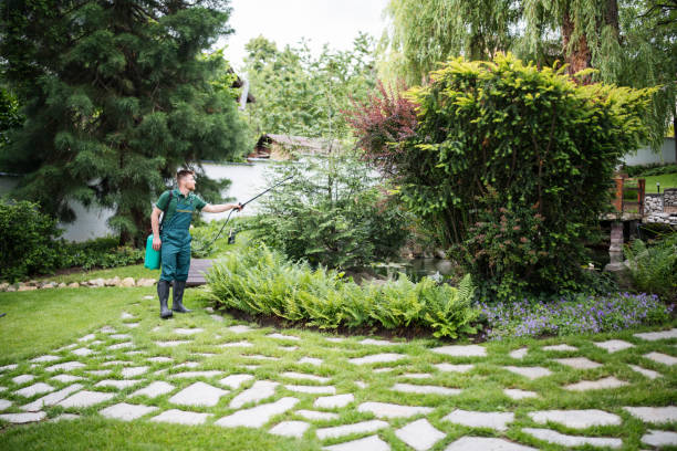 Best Commercial Pest Control Services  in De Soto, IA