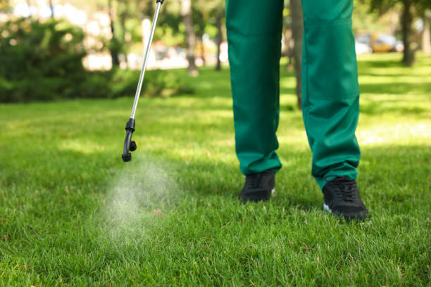 Best Flea Control Services  in De Soto, IA