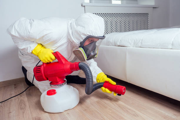 Flea Control Services in De Soto, IA