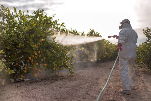 Trusted De Soto, IA Pest Control Experts