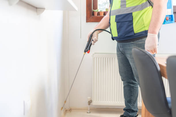 Best Local Pest Control Services  in De Soto, IA