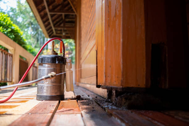 Best Mosquito Control Services  in De Soto, IA