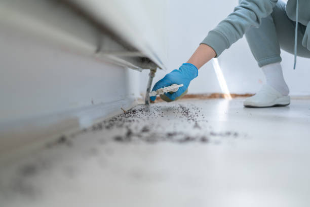 Best Commercial Pest Control Services  in De Soto, IA