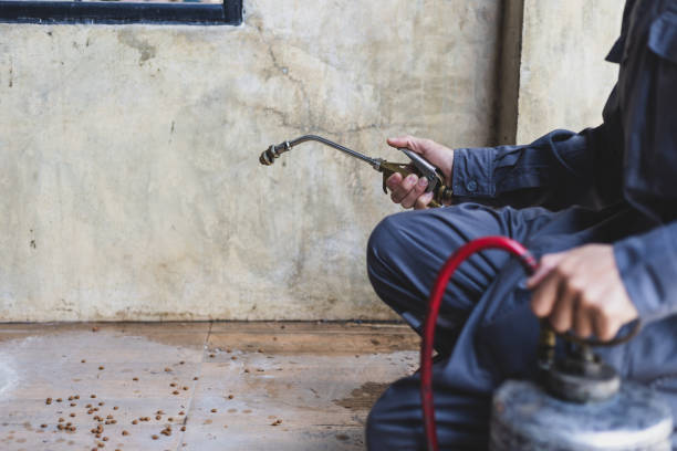 Best Pest Prevention Services  in De Soto, IA
